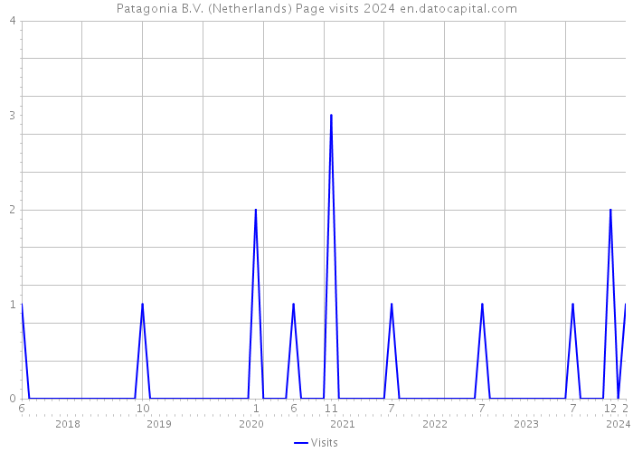 Patagonia B.V. (Netherlands) Page visits 2024 