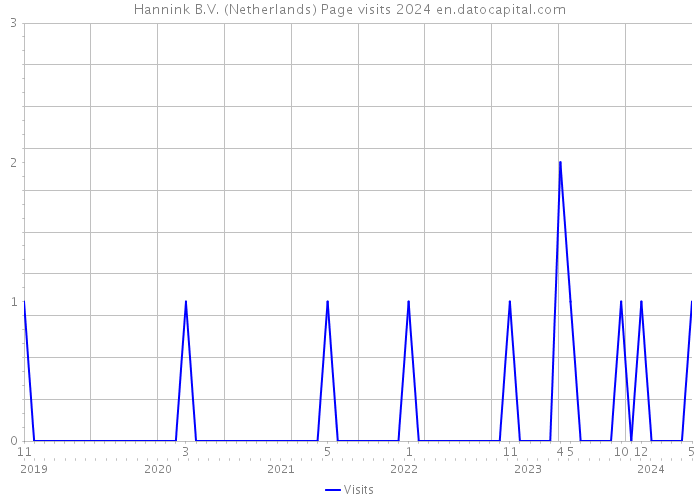 Hannink B.V. (Netherlands) Page visits 2024 