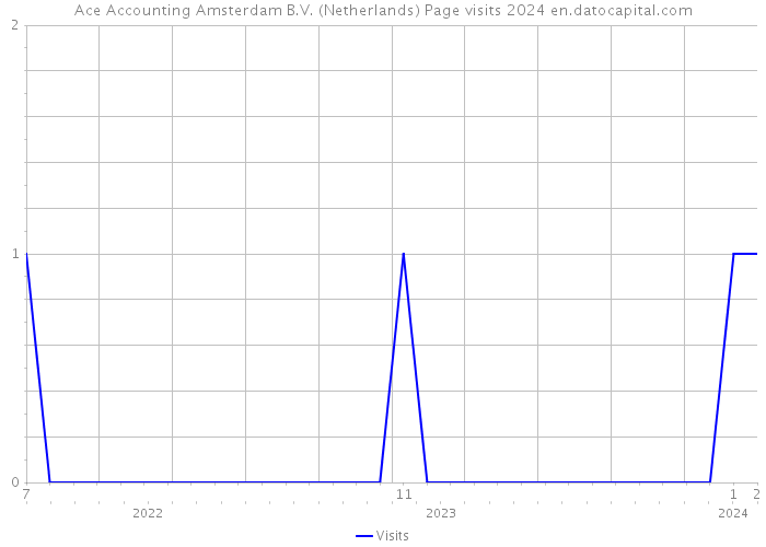 Ace Accounting Amsterdam B.V. (Netherlands) Page visits 2024 