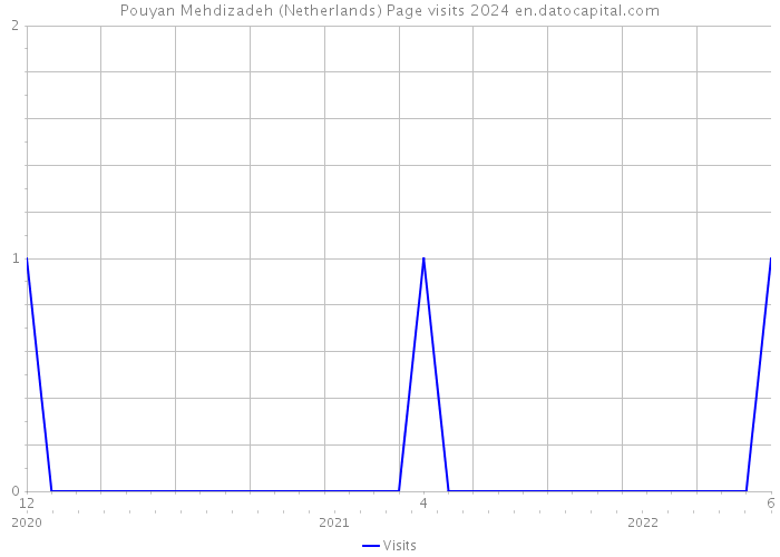Pouyan Mehdizadeh (Netherlands) Page visits 2024 