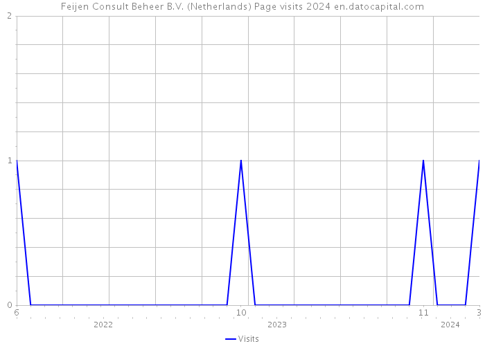 Feijen Consult Beheer B.V. (Netherlands) Page visits 2024 