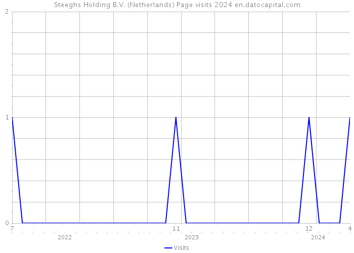 Steeghs Holding B.V. (Netherlands) Page visits 2024 