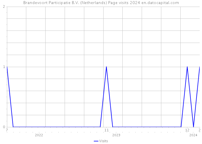 Brandevoort Participatie B.V. (Netherlands) Page visits 2024 