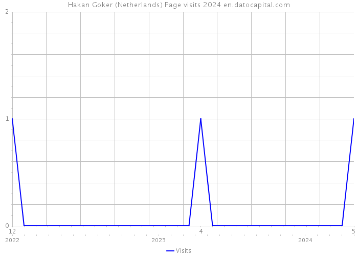 Hakan Goker (Netherlands) Page visits 2024 
