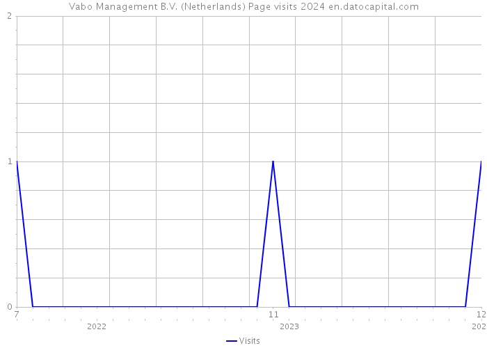 Vabo Management B.V. (Netherlands) Page visits 2024 