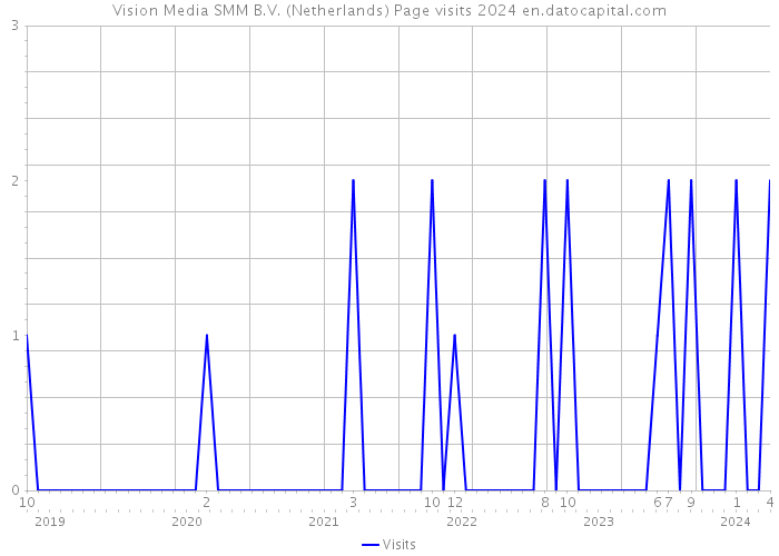Vision Media SMM B.V. (Netherlands) Page visits 2024 