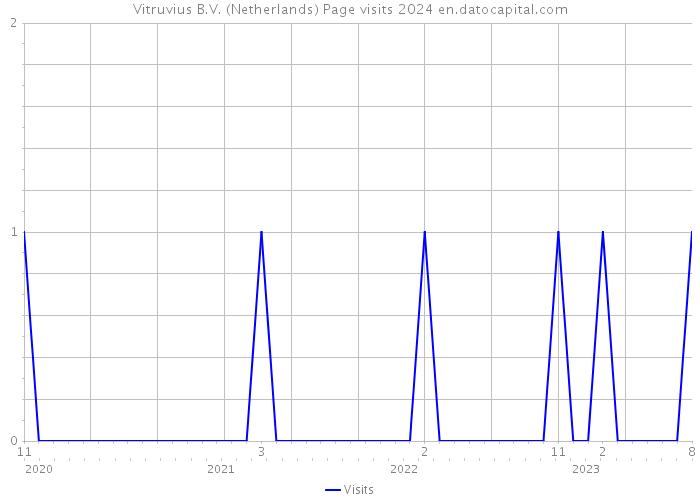 Vitruvius B.V. (Netherlands) Page visits 2024 