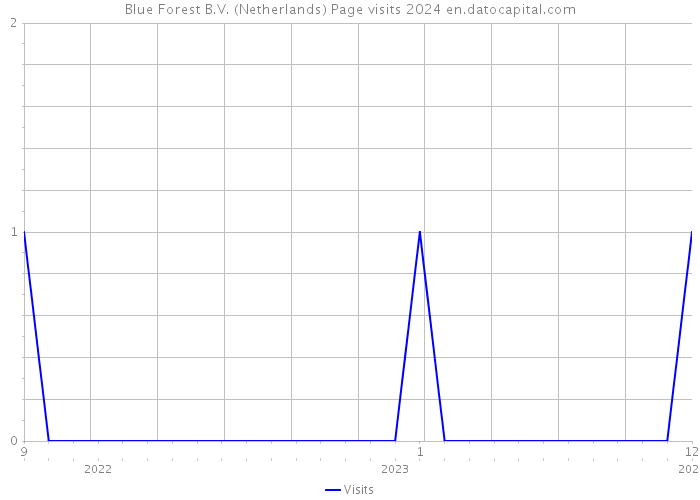 Blue Forest B.V. (Netherlands) Page visits 2024 