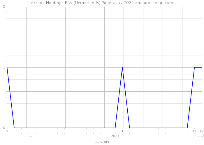 Arcade Holdings B.V. (Netherlands) Page visits 2024 