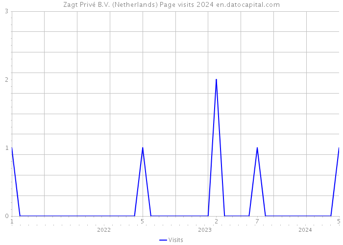 Zagt Privé B.V. (Netherlands) Page visits 2024 