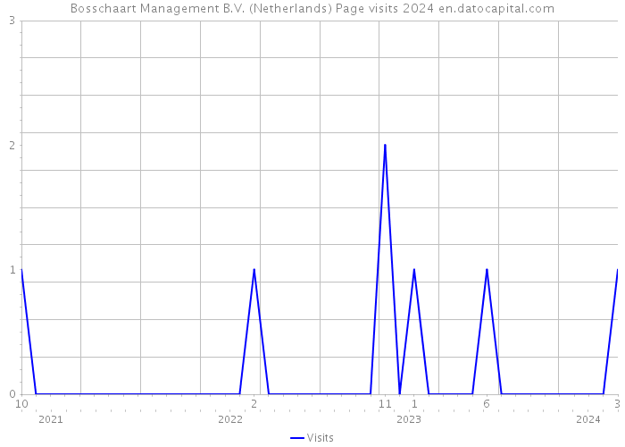 Bosschaart Management B.V. (Netherlands) Page visits 2024 
