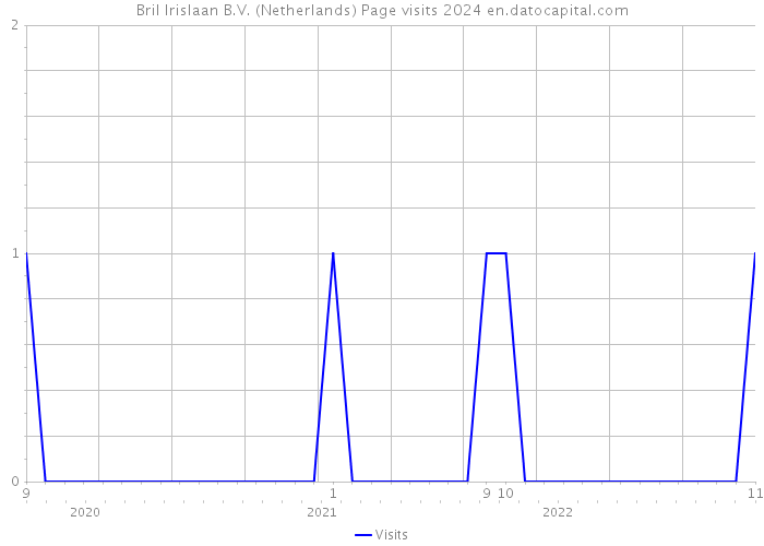Bril Irislaan B.V. (Netherlands) Page visits 2024 