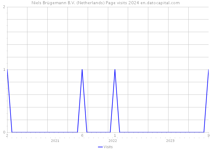 Niels Brügemann B.V. (Netherlands) Page visits 2024 