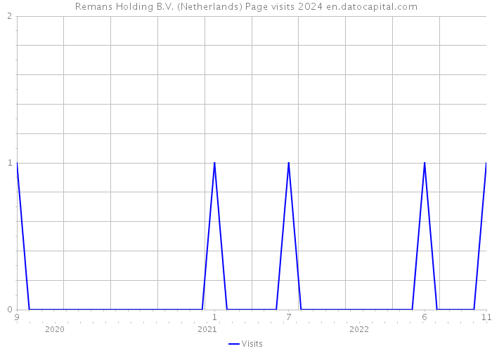 Remans Holding B.V. (Netherlands) Page visits 2024 