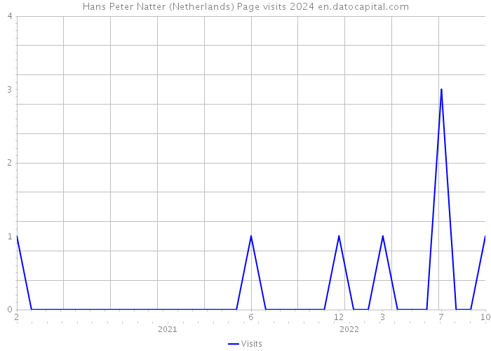 Hans Peter Natter (Netherlands) Page visits 2024 