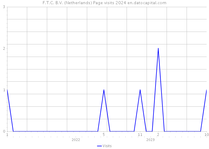 F.T.C. B.V. (Netherlands) Page visits 2024 