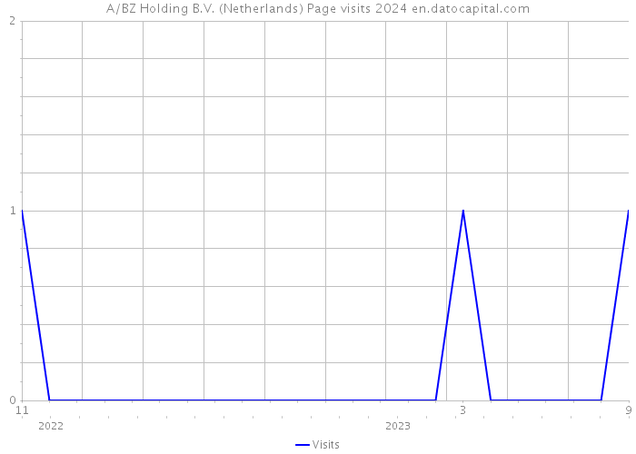 A/BZ Holding B.V. (Netherlands) Page visits 2024 
