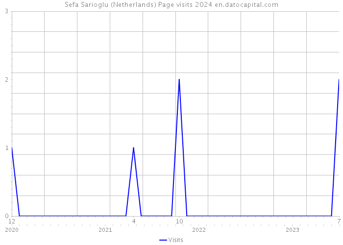 Sefa Sarioglu (Netherlands) Page visits 2024 