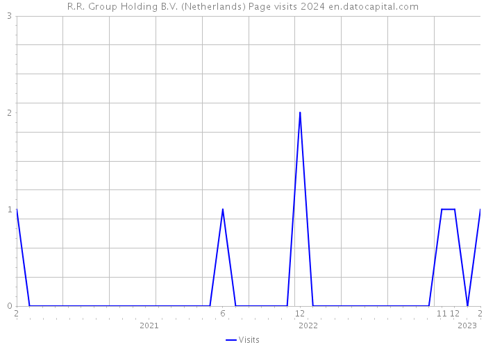 R.R. Group Holding B.V. (Netherlands) Page visits 2024 