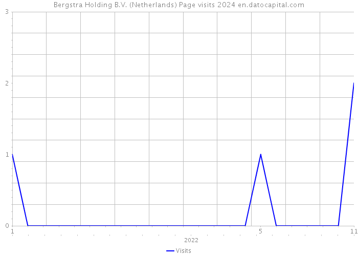 Bergstra Holding B.V. (Netherlands) Page visits 2024 