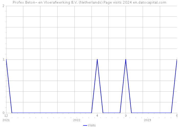 Profex Beton- en Vloerafwerking B.V. (Netherlands) Page visits 2024 