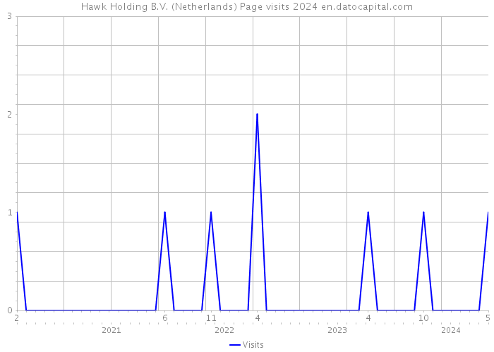 Hawk Holding B.V. (Netherlands) Page visits 2024 