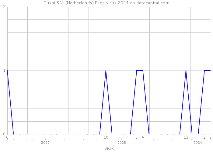 Dushi B.V. (Netherlands) Page visits 2024 