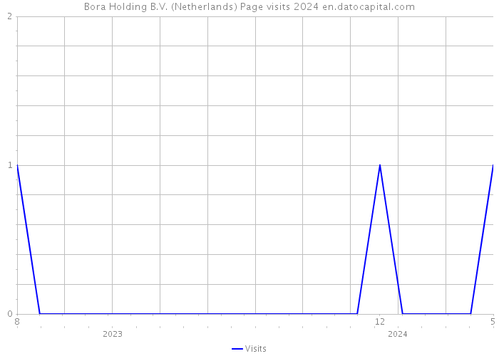 Bora Holding B.V. (Netherlands) Page visits 2024 