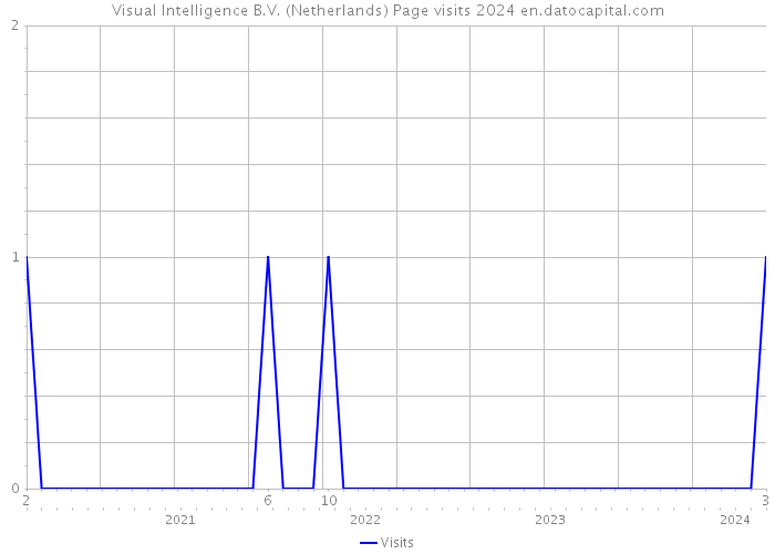 Visual Intelligence B.V. (Netherlands) Page visits 2024 
