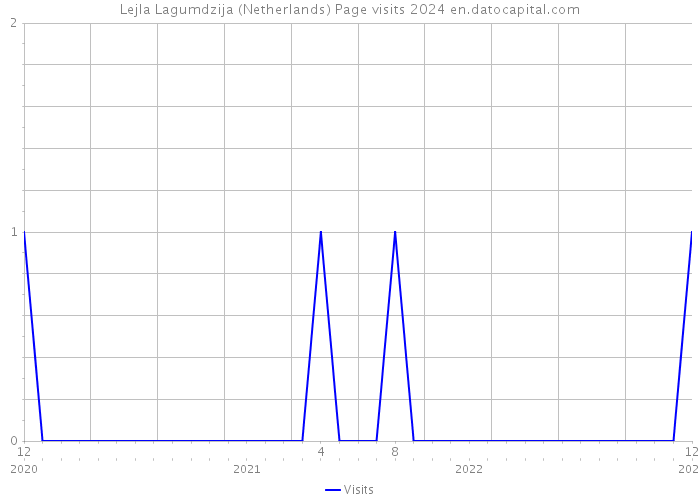 Lejla Lagumdzija (Netherlands) Page visits 2024 