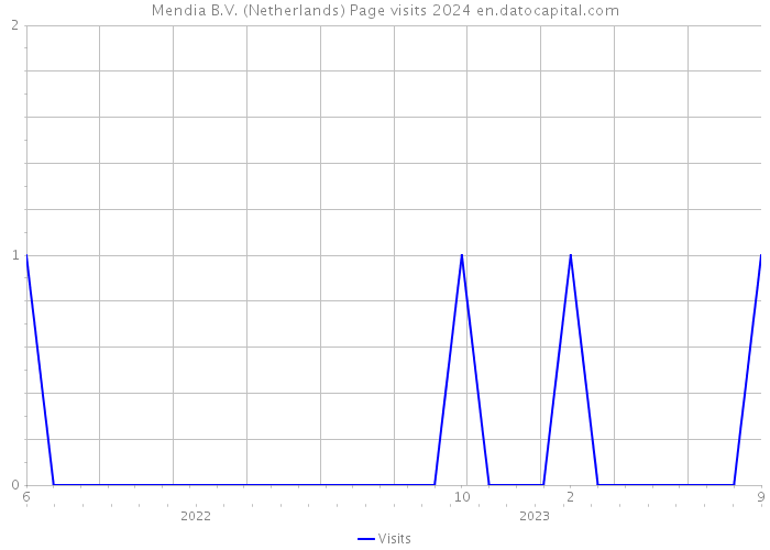 Mendia B.V. (Netherlands) Page visits 2024 