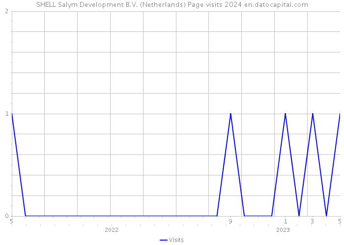 SHELL Salym Development B.V. (Netherlands) Page visits 2024 