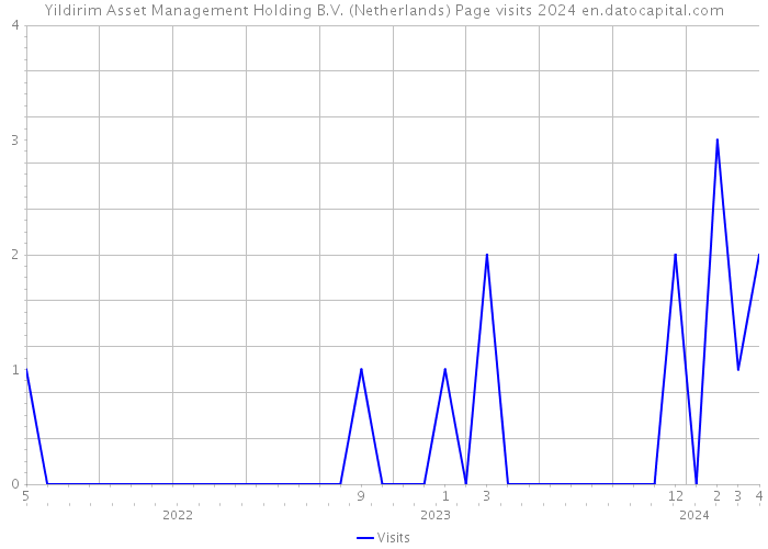 Yildirim Asset Management Holding B.V. (Netherlands) Page visits 2024 