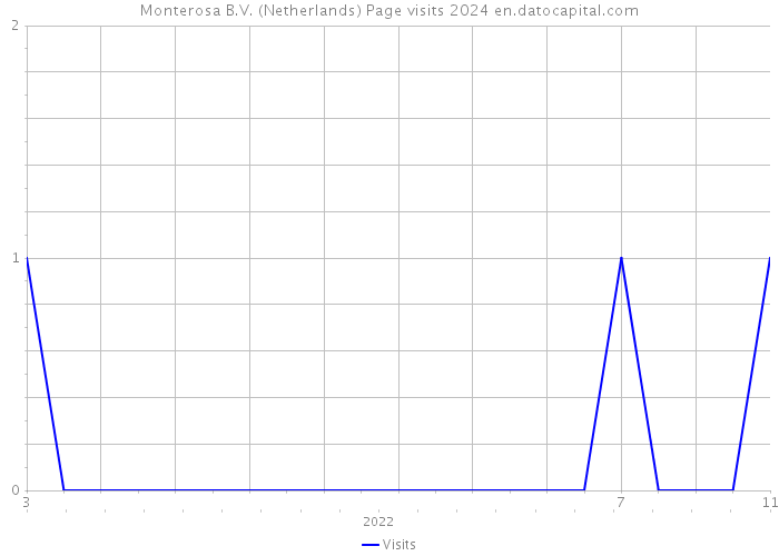 Monterosa B.V. (Netherlands) Page visits 2024 