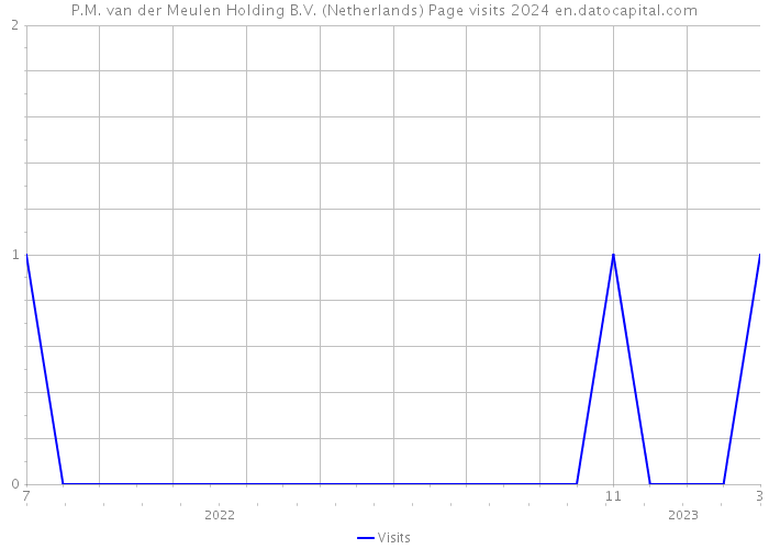 P.M. van der Meulen Holding B.V. (Netherlands) Page visits 2024 