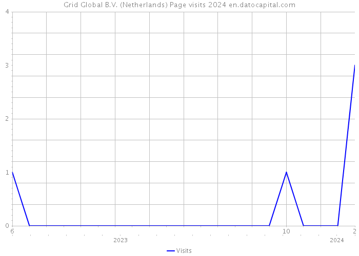 Grid Global B.V. (Netherlands) Page visits 2024 