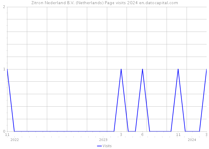 Zitron Nederland B.V. (Netherlands) Page visits 2024 