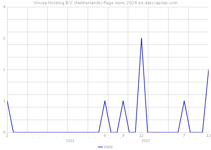 Vincea Holding B.V. (Netherlands) Page visits 2024 