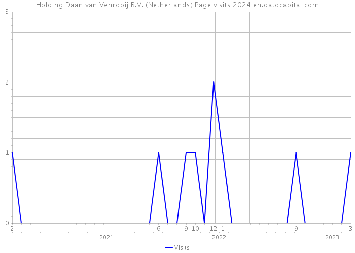 Holding Daan van Venrooij B.V. (Netherlands) Page visits 2024 