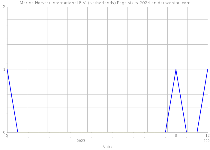 Marine Harvest International B.V. (Netherlands) Page visits 2024 
