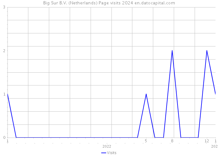 Big Sur B.V. (Netherlands) Page visits 2024 