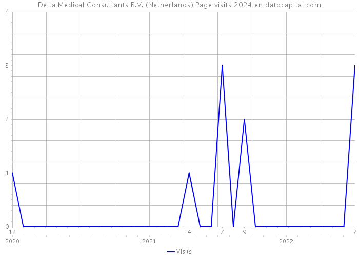 Delta Medical Consultants B.V. (Netherlands) Page visits 2024 