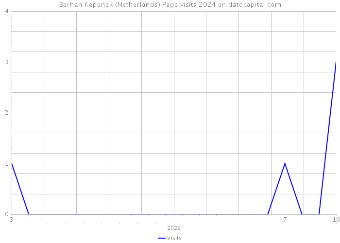 Berhan Kepenek (Netherlands) Page visits 2024 