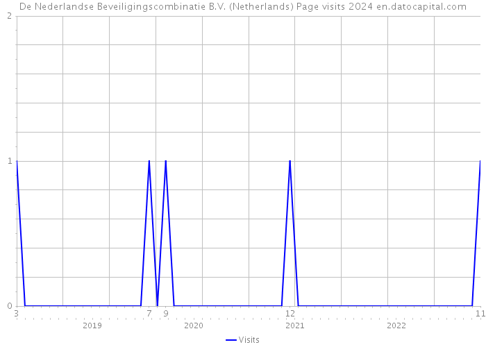 De Nederlandse Beveiligingscombinatie B.V. (Netherlands) Page visits 2024 