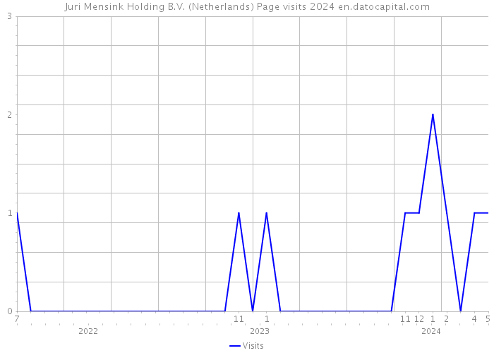Juri Mensink Holding B.V. (Netherlands) Page visits 2024 