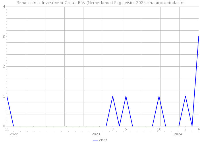 Renaissance Investment Group B.V. (Netherlands) Page visits 2024 