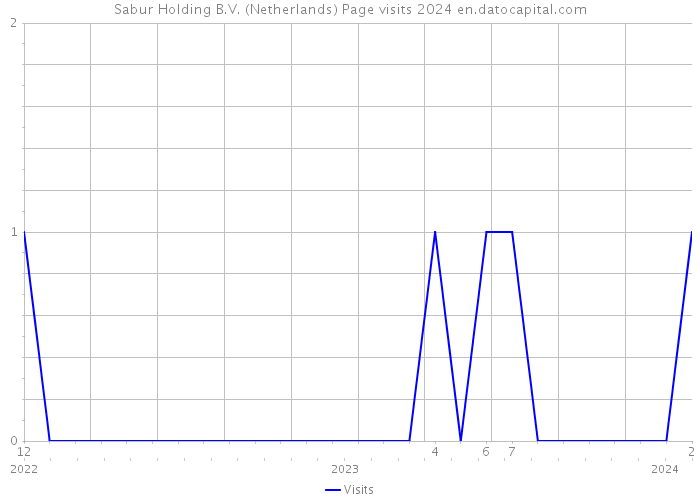 Sabur Holding B.V. (Netherlands) Page visits 2024 