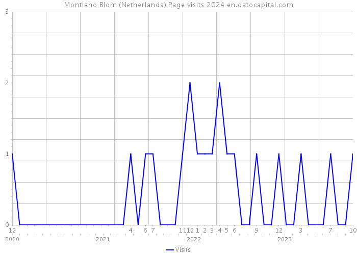 Montiano Blom (Netherlands) Page visits 2024 