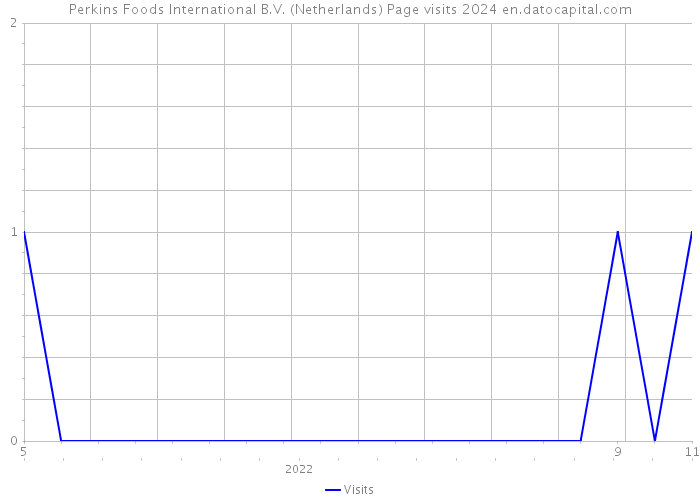 Perkins Foods International B.V. (Netherlands) Page visits 2024 