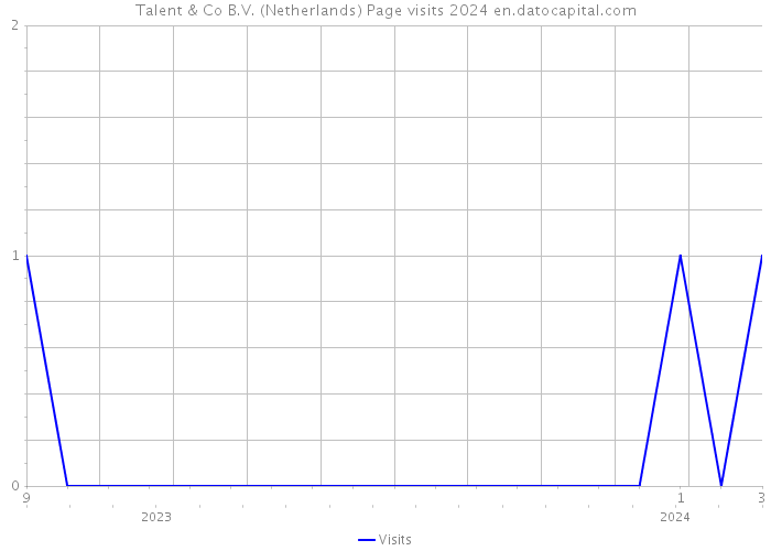 Talent & Co B.V. (Netherlands) Page visits 2024 